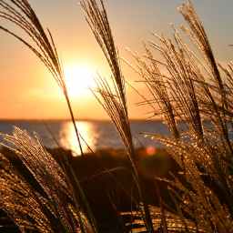 Jesus, the Light of the World!