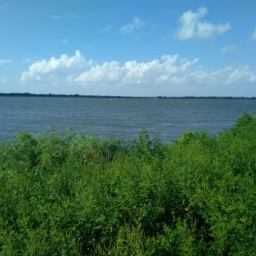 It Is Well: A Recollection from Seed Basket Devotional