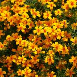 Nothing & Everything