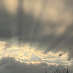 What Will Happen If…