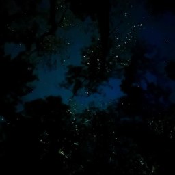 The Stars are Singing! A Recollection from Seed Basket Devotional