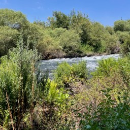 It’s All in the Plans