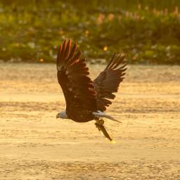 Wondrous Things: A Recollection from Seed Basket Devotional