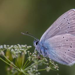 One Thing Leads to Another