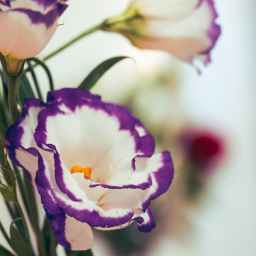 The Wonder of God’s Love