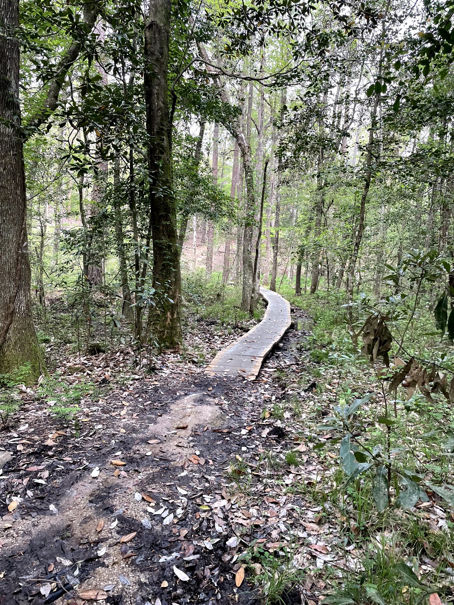 One Thing Leads to Another