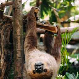 uʍop-ǝpᴉsd∩ – and a Last Resort