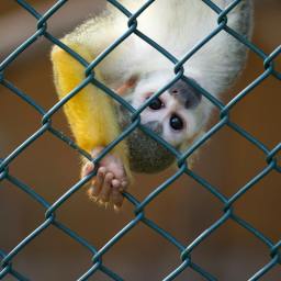 uʍop-ǝpᴉsd∩ From the Beginning