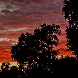 uʍop-ǝpᴉsd∩ – in the Dark