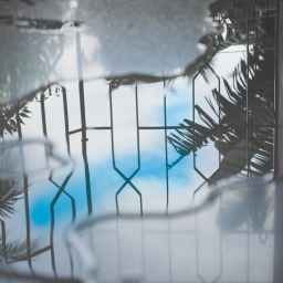 uʍop-ǝpᴉsd∩ At the Gate