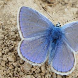 May Jesus Christ be Praised