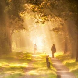 A Light for My Path