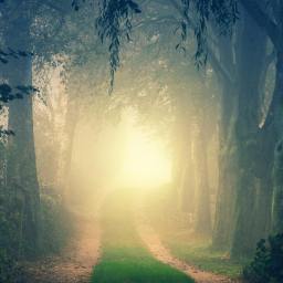 A Light for My Path