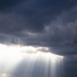 A Light for My Path