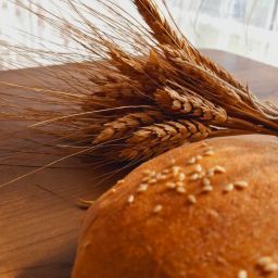 Seed Basket Stories