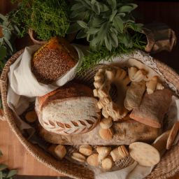 Seed Basket Stories