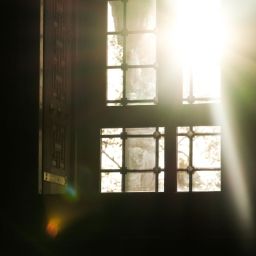 A Light for My Path