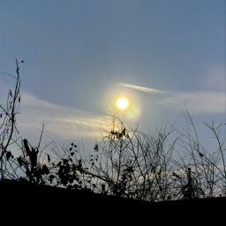 A Light for My Path