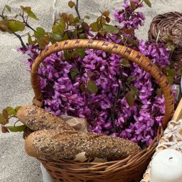 Seed Basket Stories